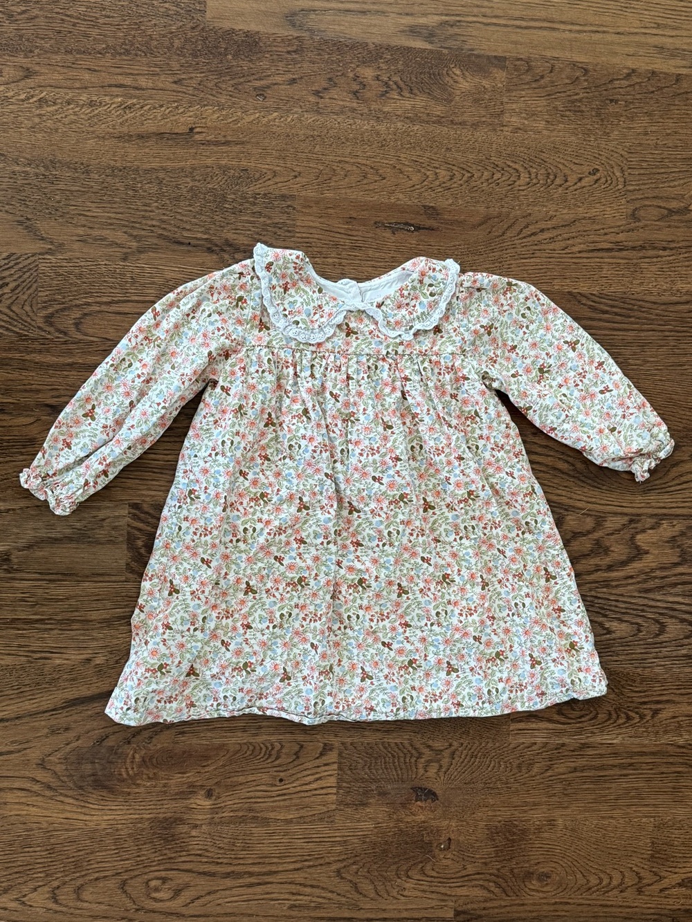 Cecil And Lou Floral Lace Collar Dress